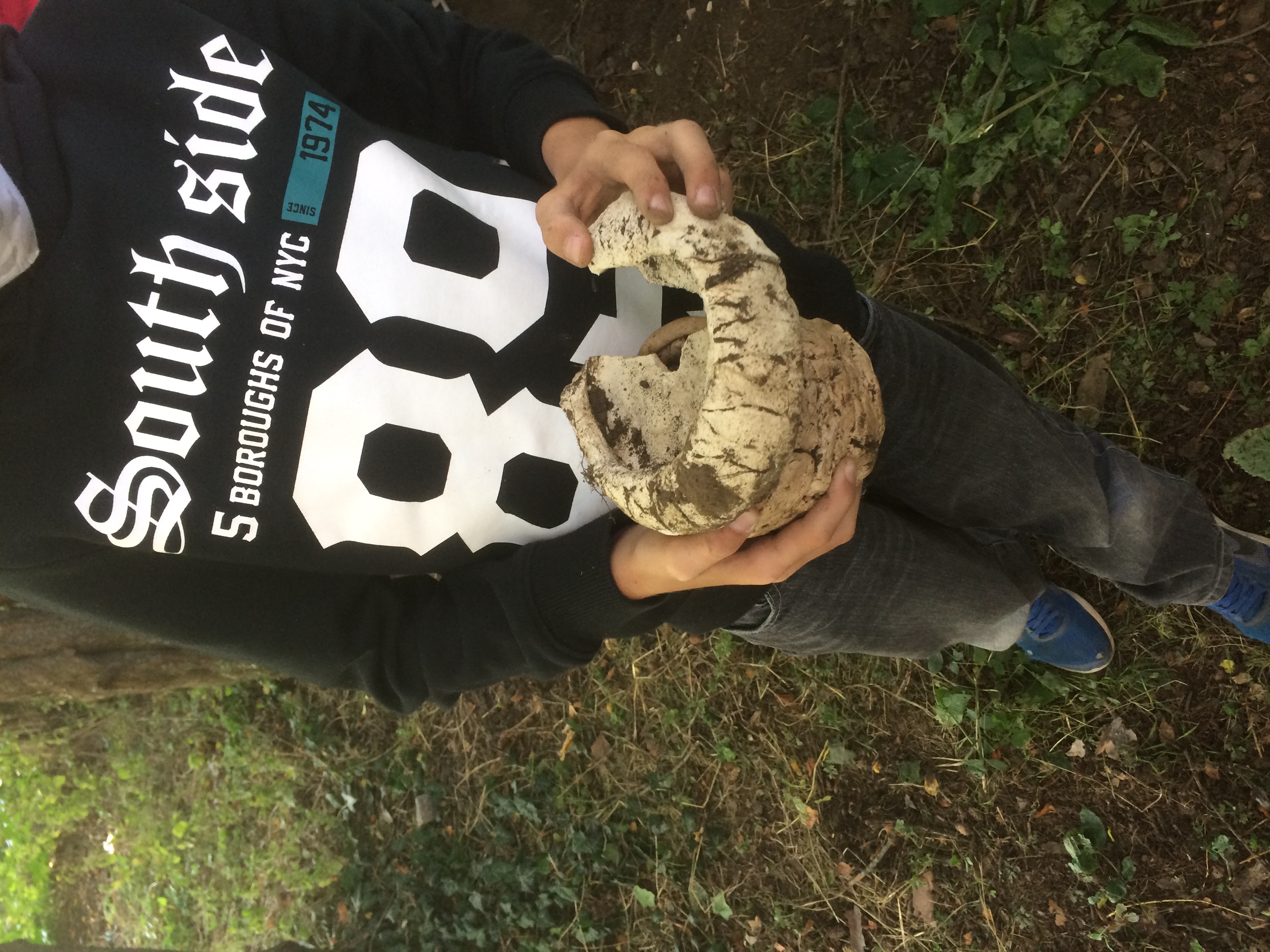 Archeologem na vlastní kůži (1)