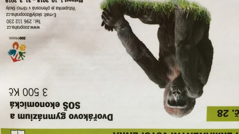Exkurze do ZOO Praha