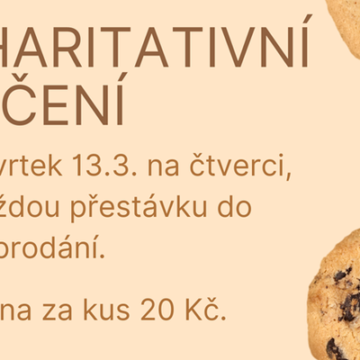 Napekli jsme pro Ukrajinu 🧁